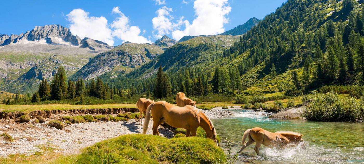 Italien - Kurorte, Berge, Agroturistik