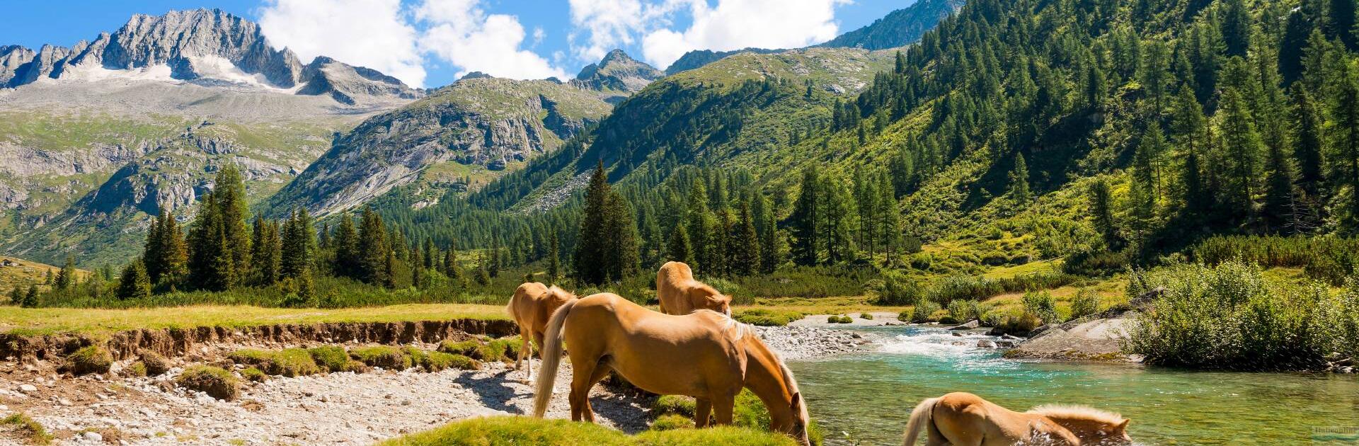 Carisolo/Pinzolo