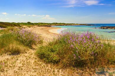 Marina di Camerota