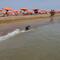 Bibione