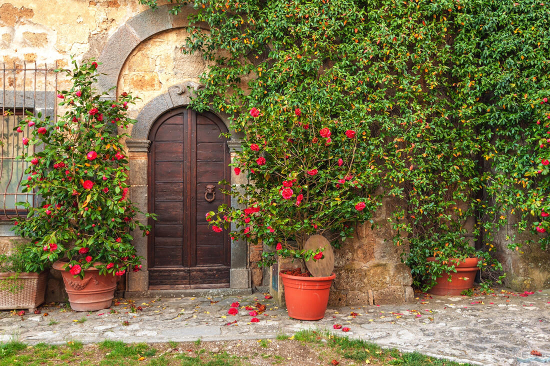 Civita di Bagnoregio