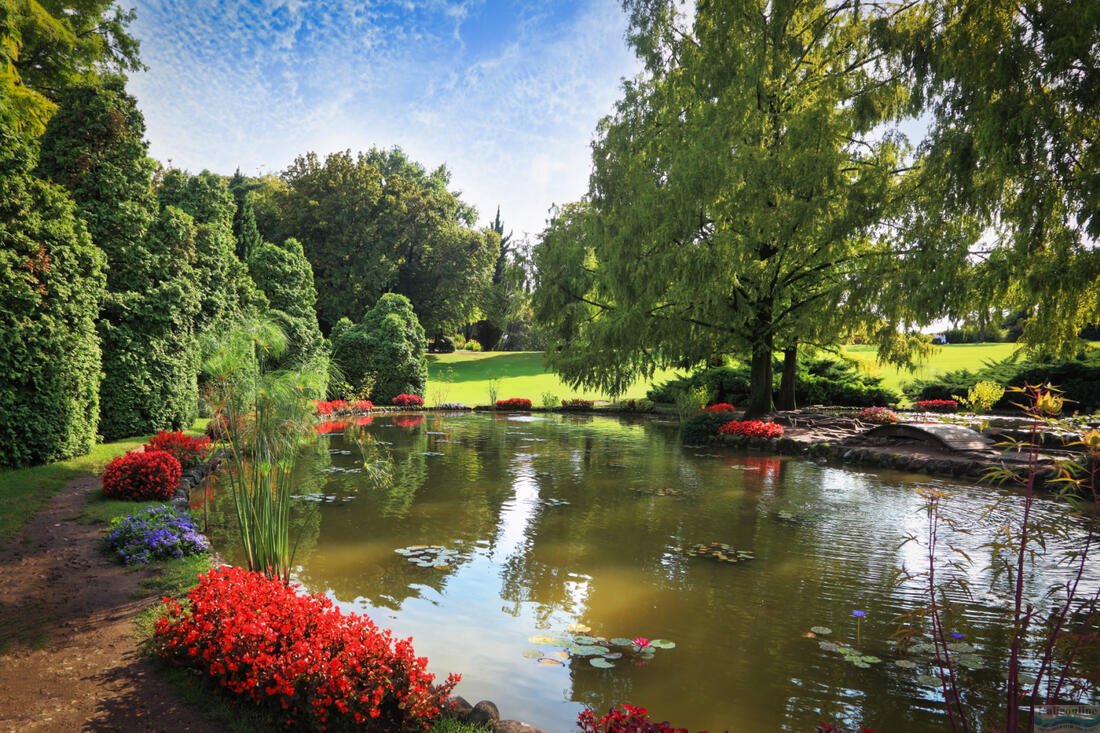 Wunderschöne Blumen rund um den Teich im Sigurtà Garden Park, Valeggio sul Mincio