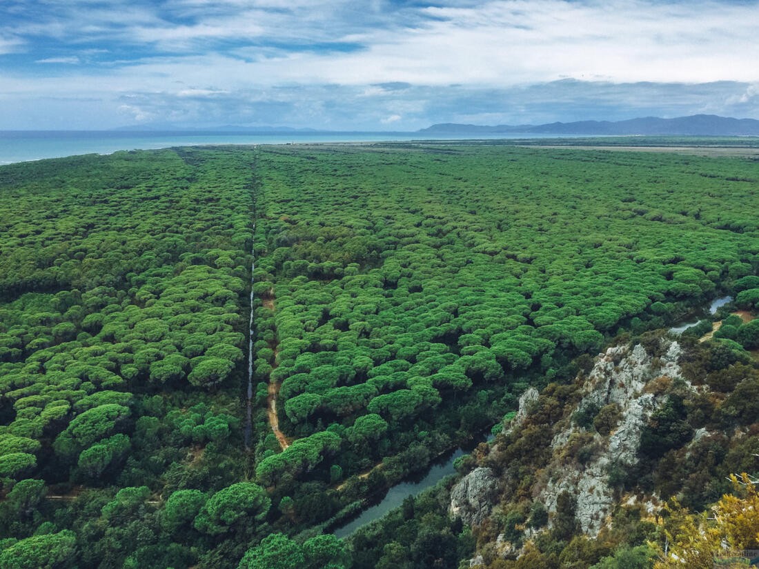 Blick von oben auf den Maremma-Nationalpark