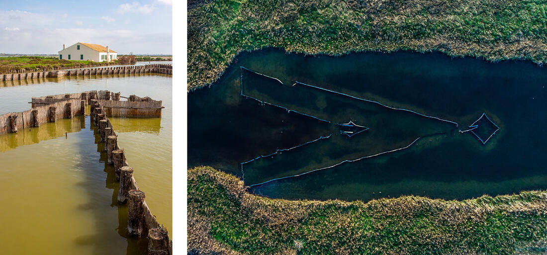 Comacchio - Aalfallen