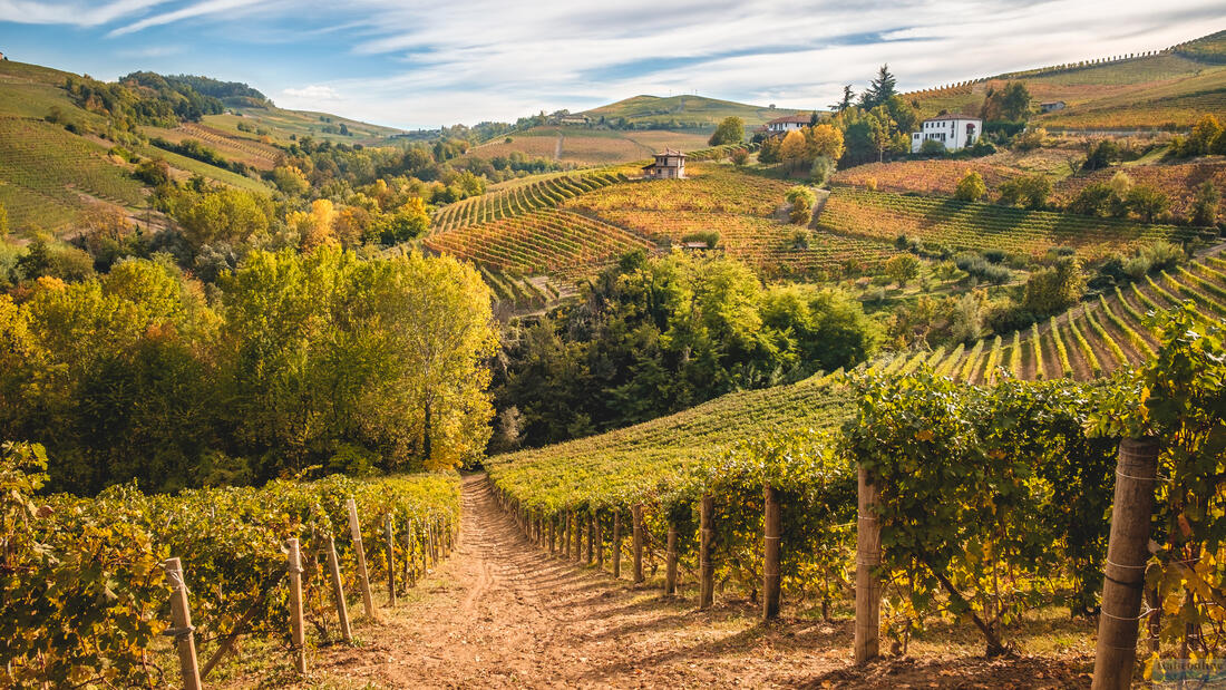 Roero and Langhe