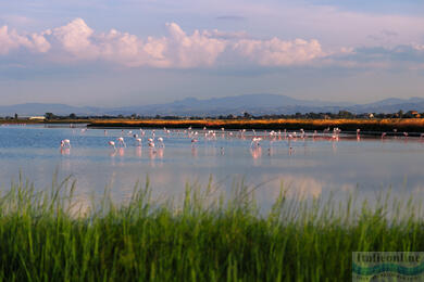 Cervia: Salz, Sonne und Tradition