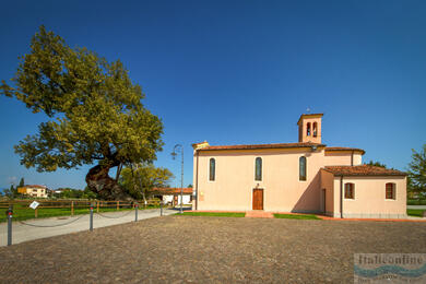 Hinter den Legenden von Fossalto di Portogruaro