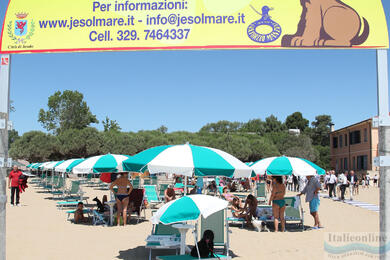 Hundestrand Bau Bau Beach Jesolo