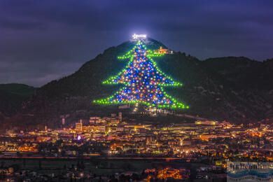 Der größte Weihnachtsbaum der Welt