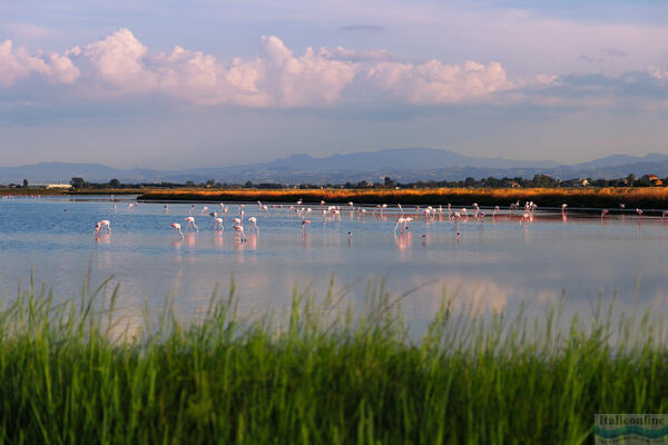 Cervia: Salz, Sonne und Tradition